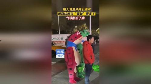 两青蛙路边吃瓜,夏日悠闲时光